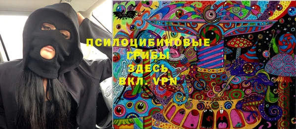 винт Алзамай
