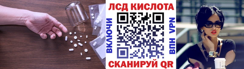 где купить наркоту  Богородицк  ЛСД экстази ecstasy 